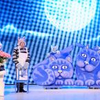 Фото из спектакля КОШКИН ДОМ